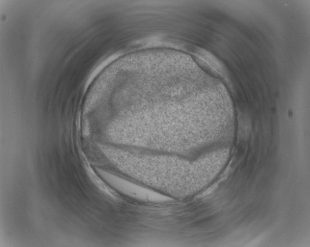 X0000061141198200512161522