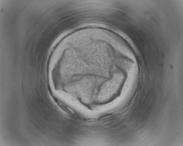 X0000061141199200512161522