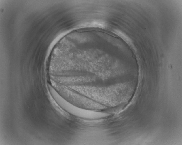 X0000061141200200512161522