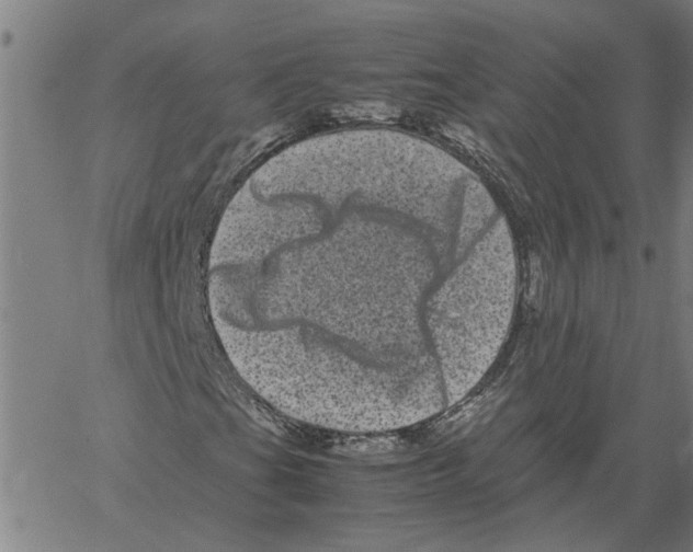 X0000061141201200512161521