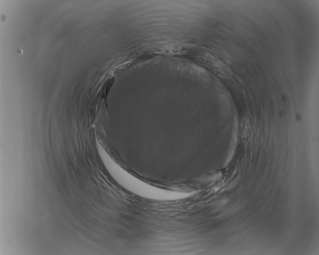 X0000061141202200512161521