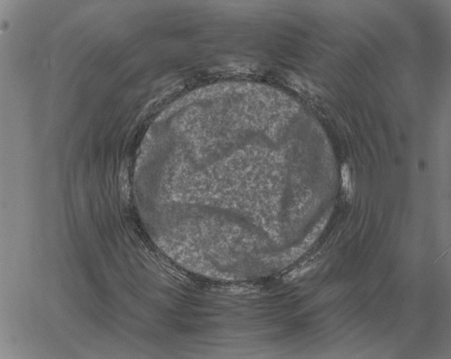 X0000061141203200512161521