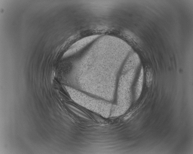 X0000061141204200512161521