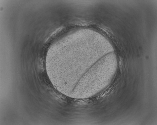 X0000061141205200512161521