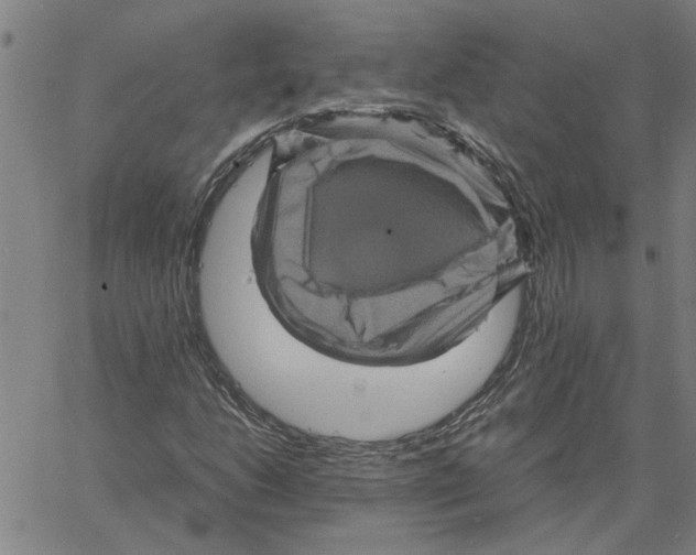 X0000061141206200512161521