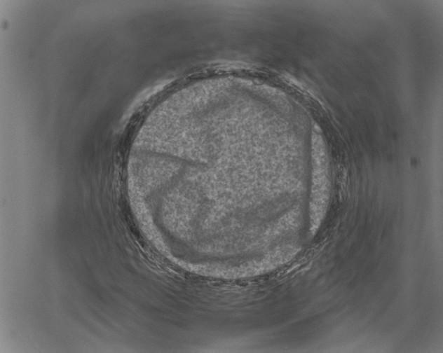 X0000061141207200512161521