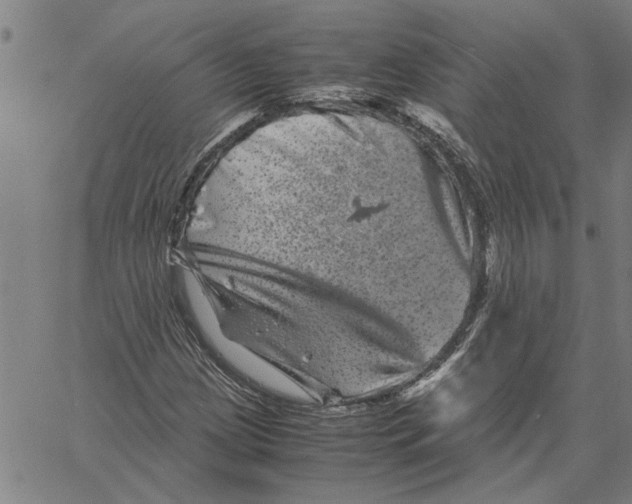 X0000061141209200512161521