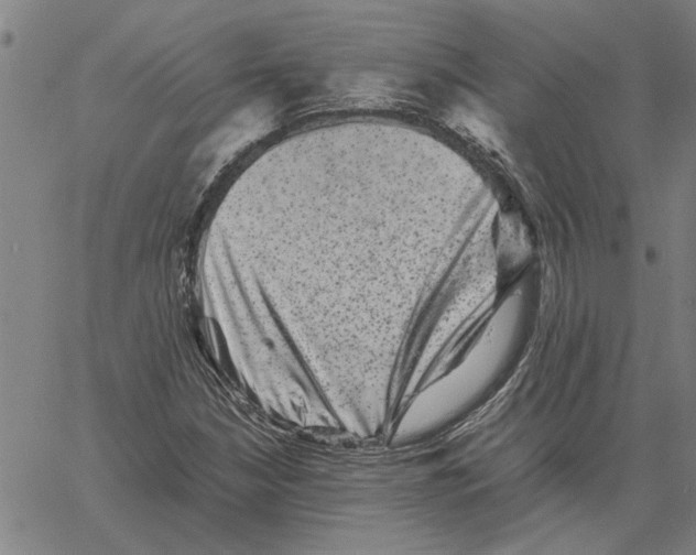 X0000061141210200512161521