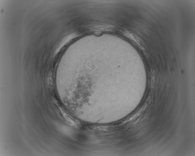 X0000061141211200512161521