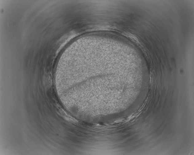 X0000061141212200512161521