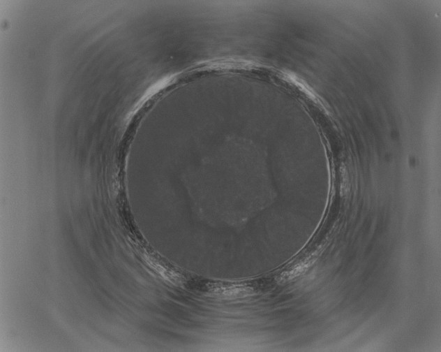 X0000061141213200512161521