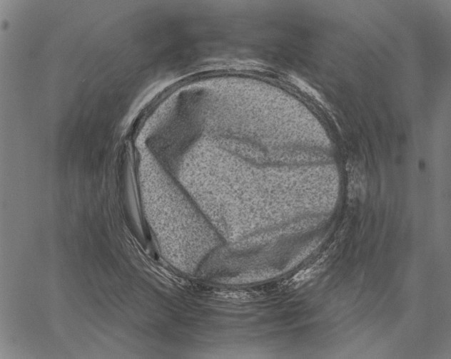 X0000061141215200512161521