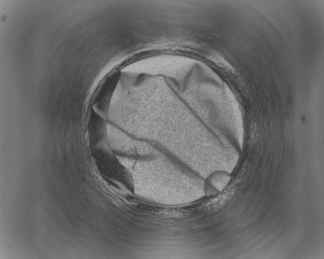 X0000061141216200512161521