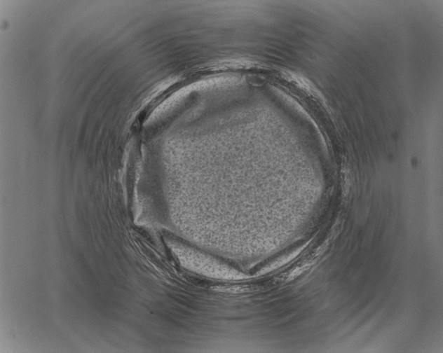 X0000061141217200512161521