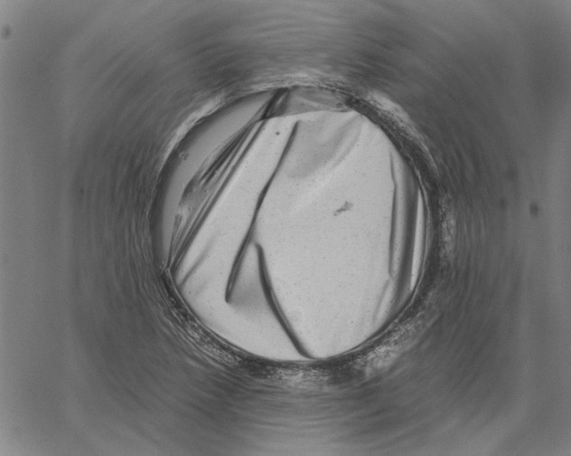 X0000061141218200512161522