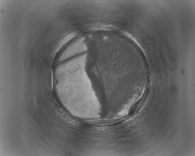 X0000061141219200512161522