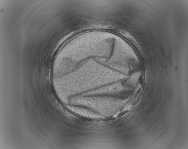 X0000061141220200512161522