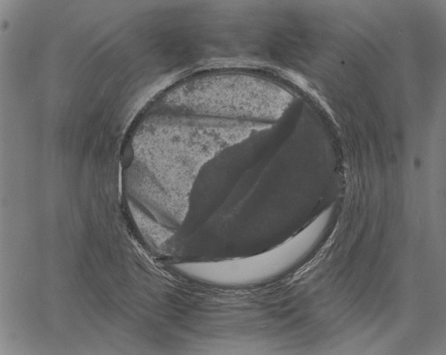 X0000061141221200512161522