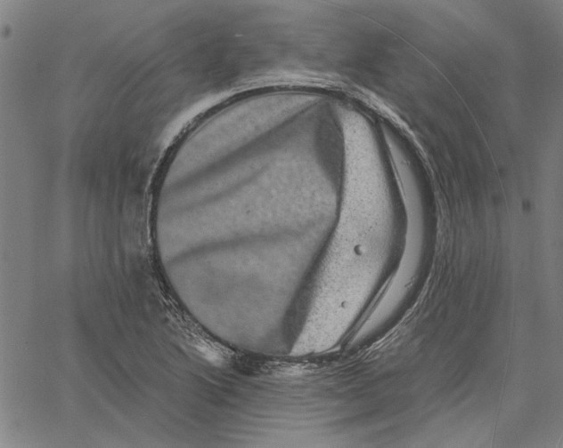 X0000061141222200512161522