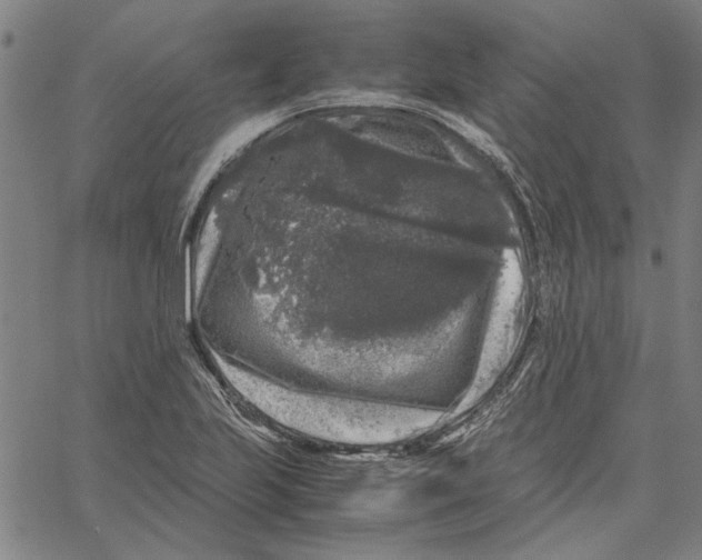 X0000061141223200512161522