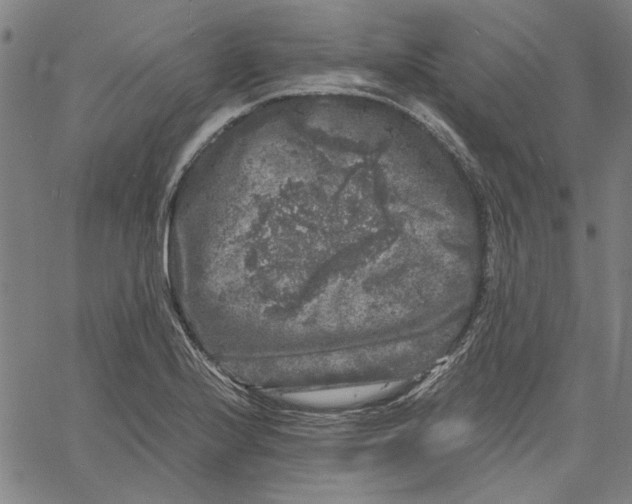 X0000061141224200512161522