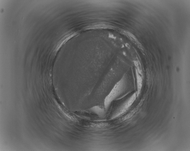 X0000061141225200512161522