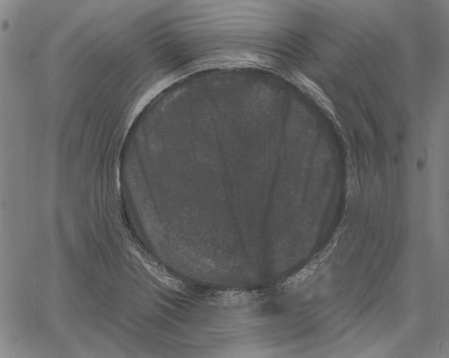 X0000061141226200512161522