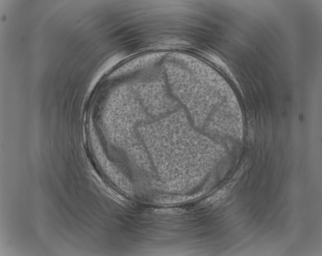 X0000061141227200512161522