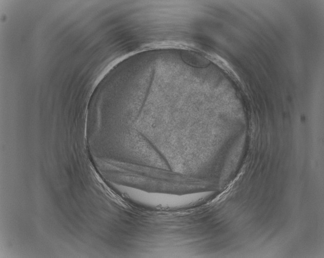 X0000061141228200512161522