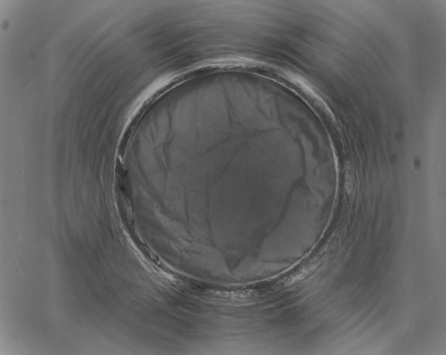 X0000061141229200512161522