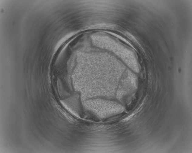 X0000061141230200512161522