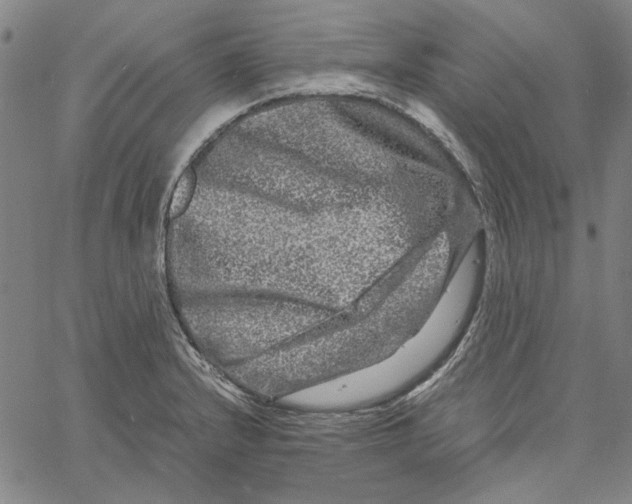 X0000061141232200512161522