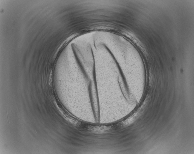 X0000061141233200512161522