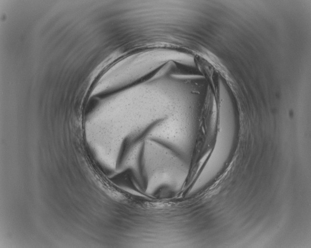 X0000061141234200512161522