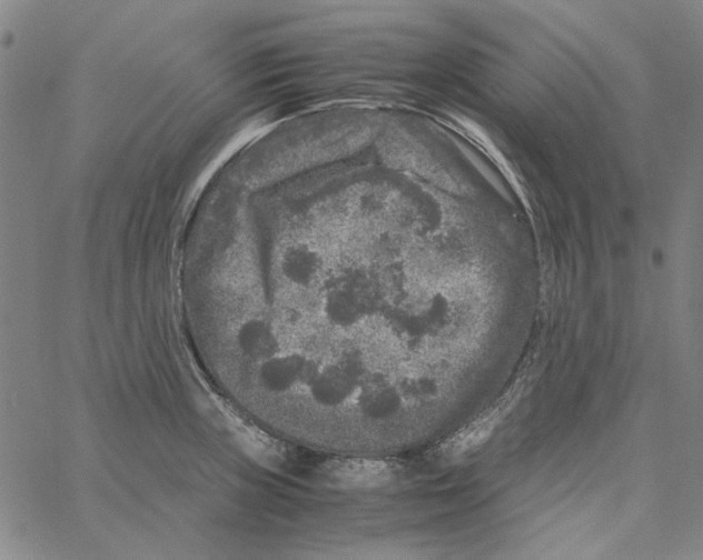 X0000061141235200512161522