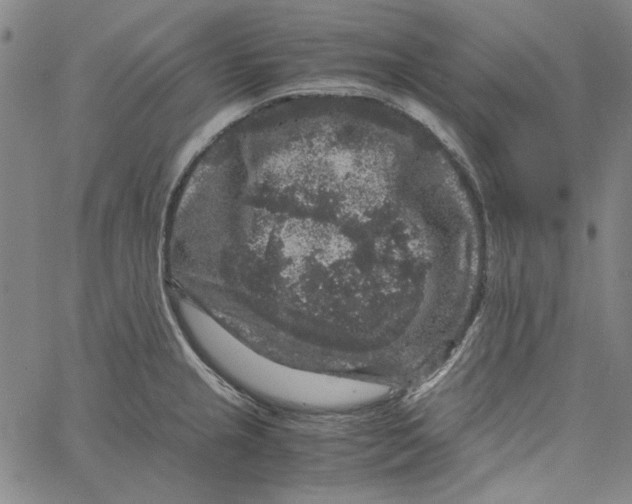 X0000061141237200512161522