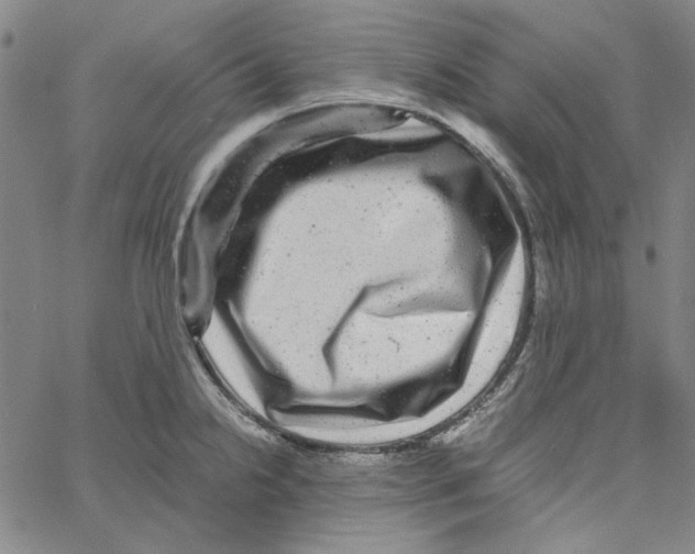 X0000061141238200512161522