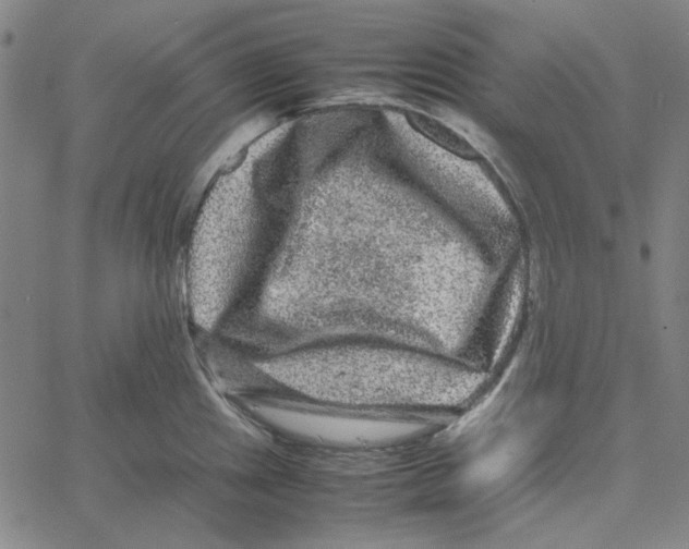 X0000061141241200512161522