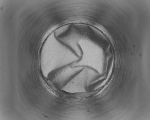 X0000061141242200512161522