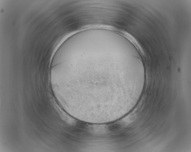 X0000061141244200512161522