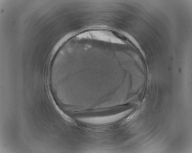 X0000061141245200512161522