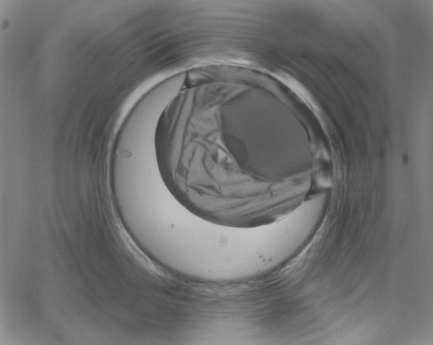 X0000061141246200512161522