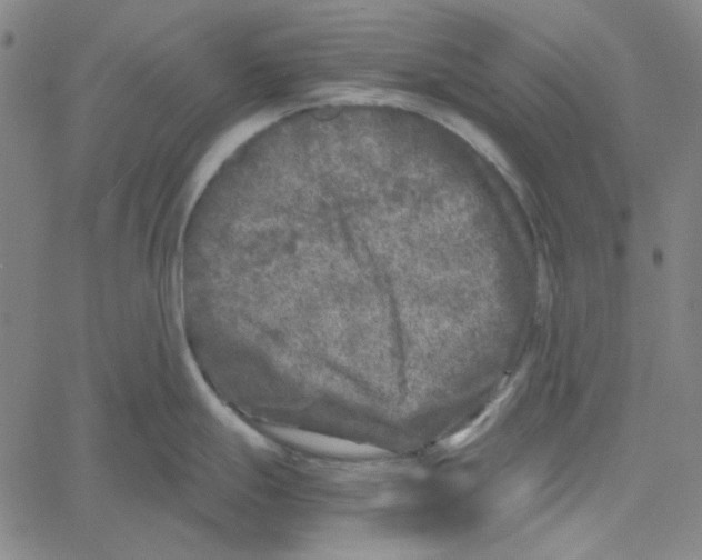 X0000061141247200512161522