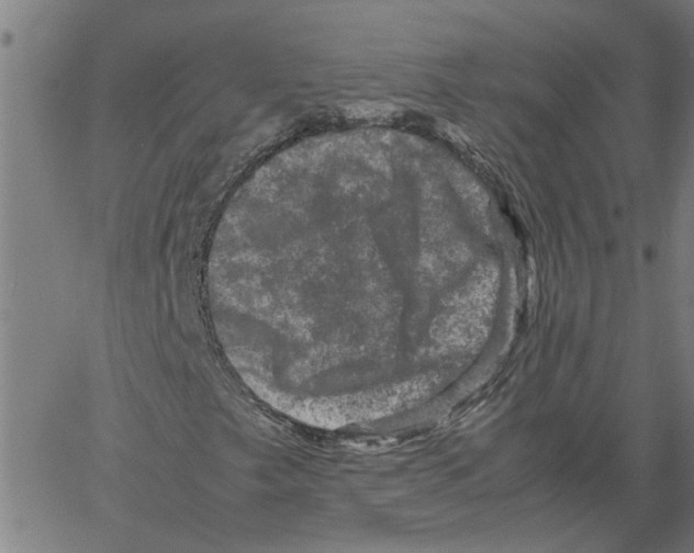 X0000061141249200512161521