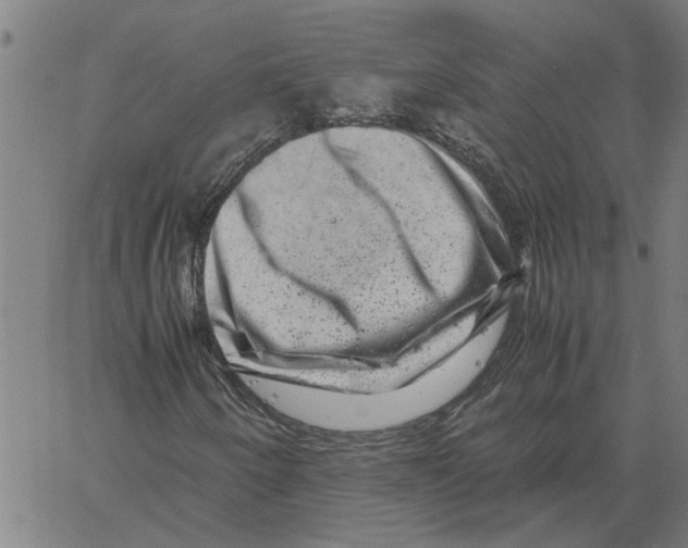 X0000061141250200512161521