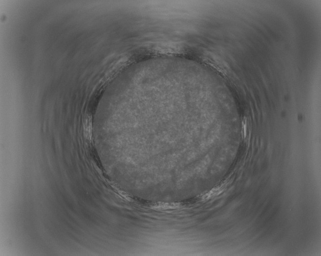 X0000061141251200512161521