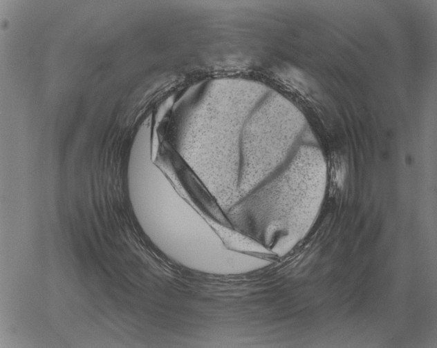 X0000061141252200512161521