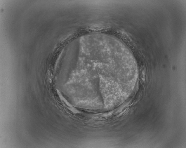 X0000061141253200512161521