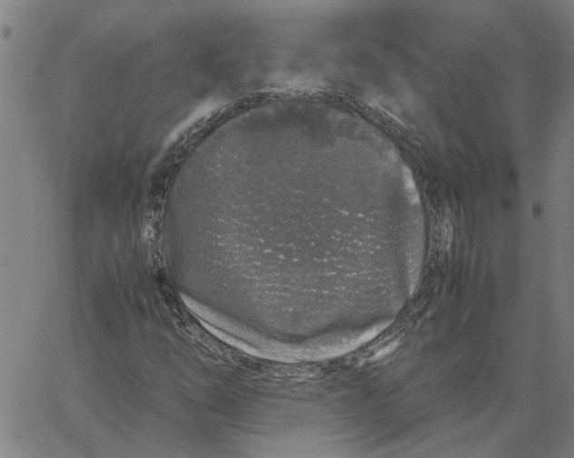 X0000061141254200512161521