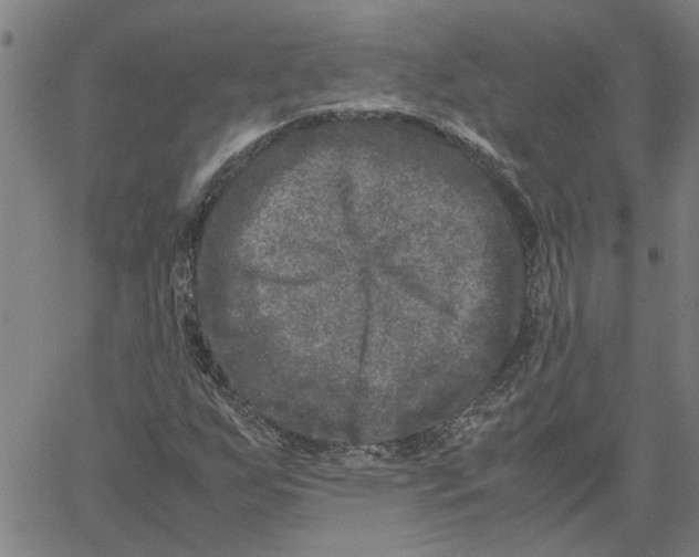 X0000061141255200512161521